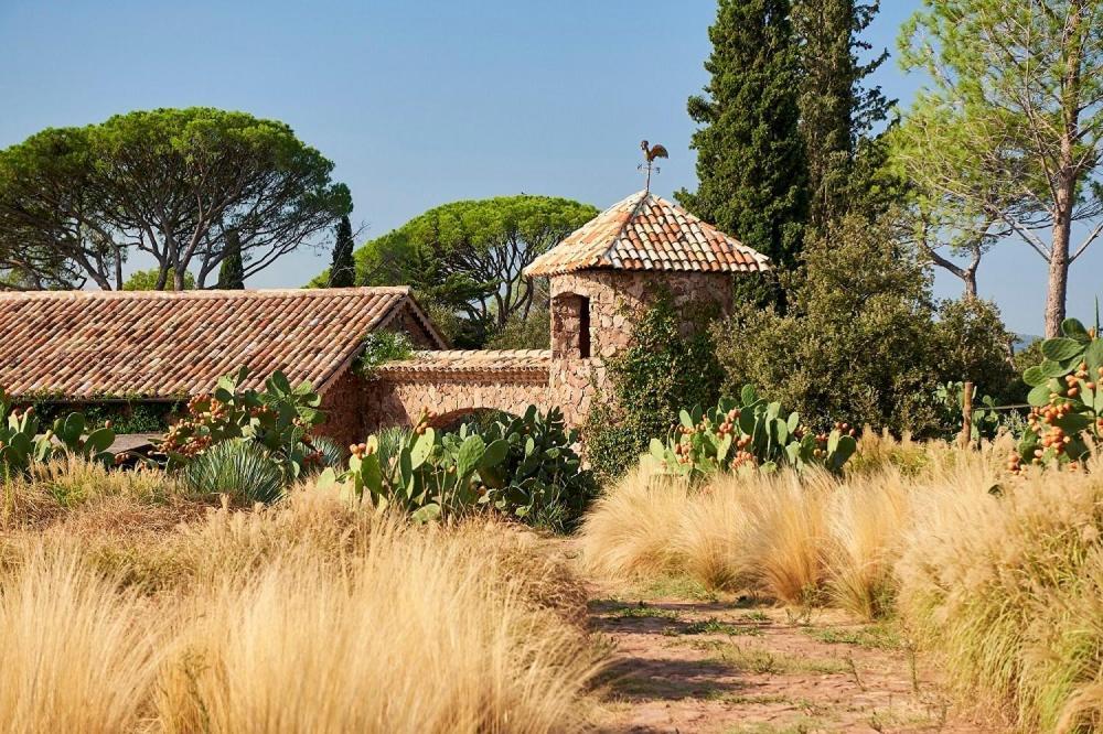 Chateau Saint Roux Le Luc-Le Cannet Des Maures Экстерьер фото