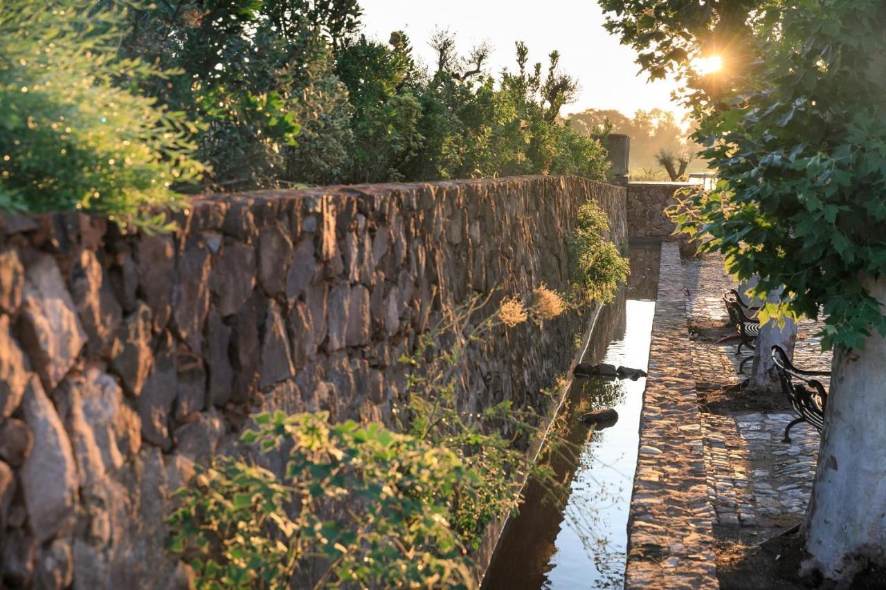 Chateau Saint Roux Le Luc-Le Cannet Des Maures Экстерьер фото